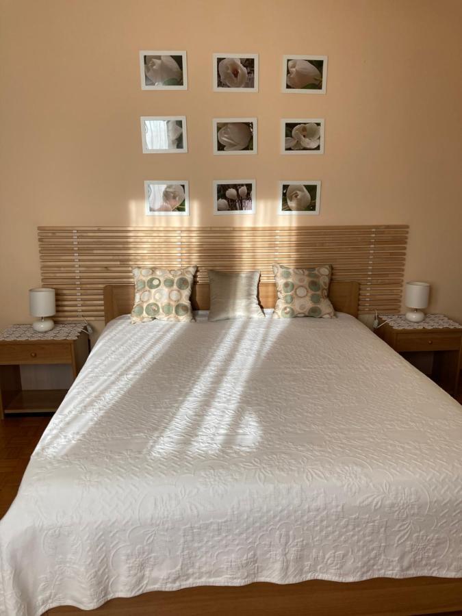 Tencarola B & B Dış mekan fotoğraf