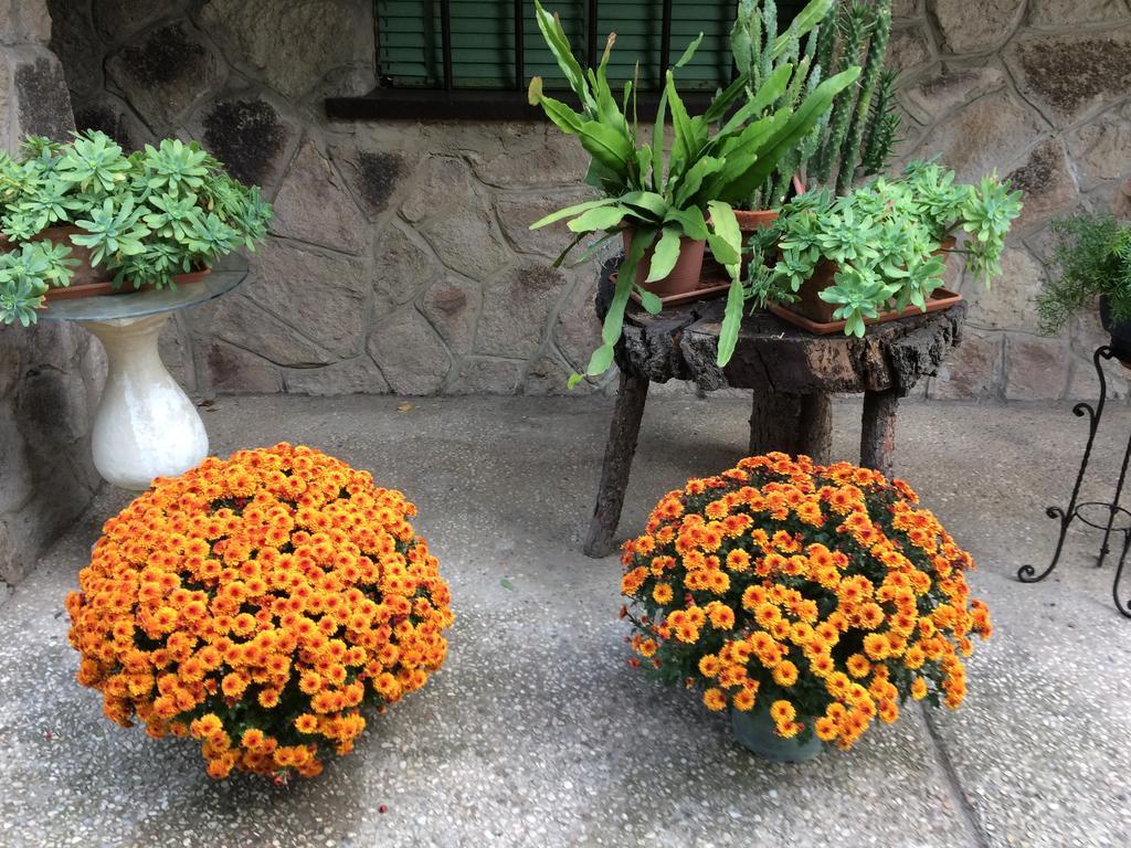 Tencarola B & B Dış mekan fotoğraf